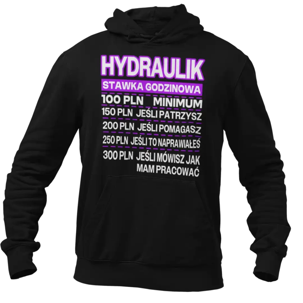 Bluza hydraulik stawka godzinowa