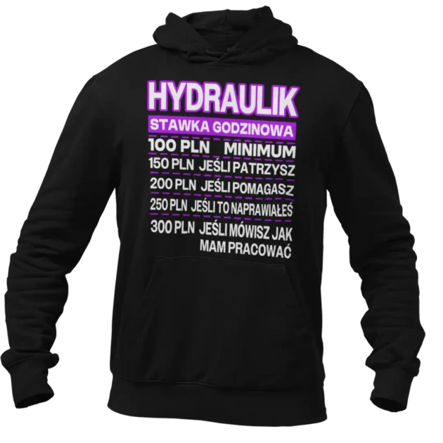 Bluza hydraulik stawka godzinowa