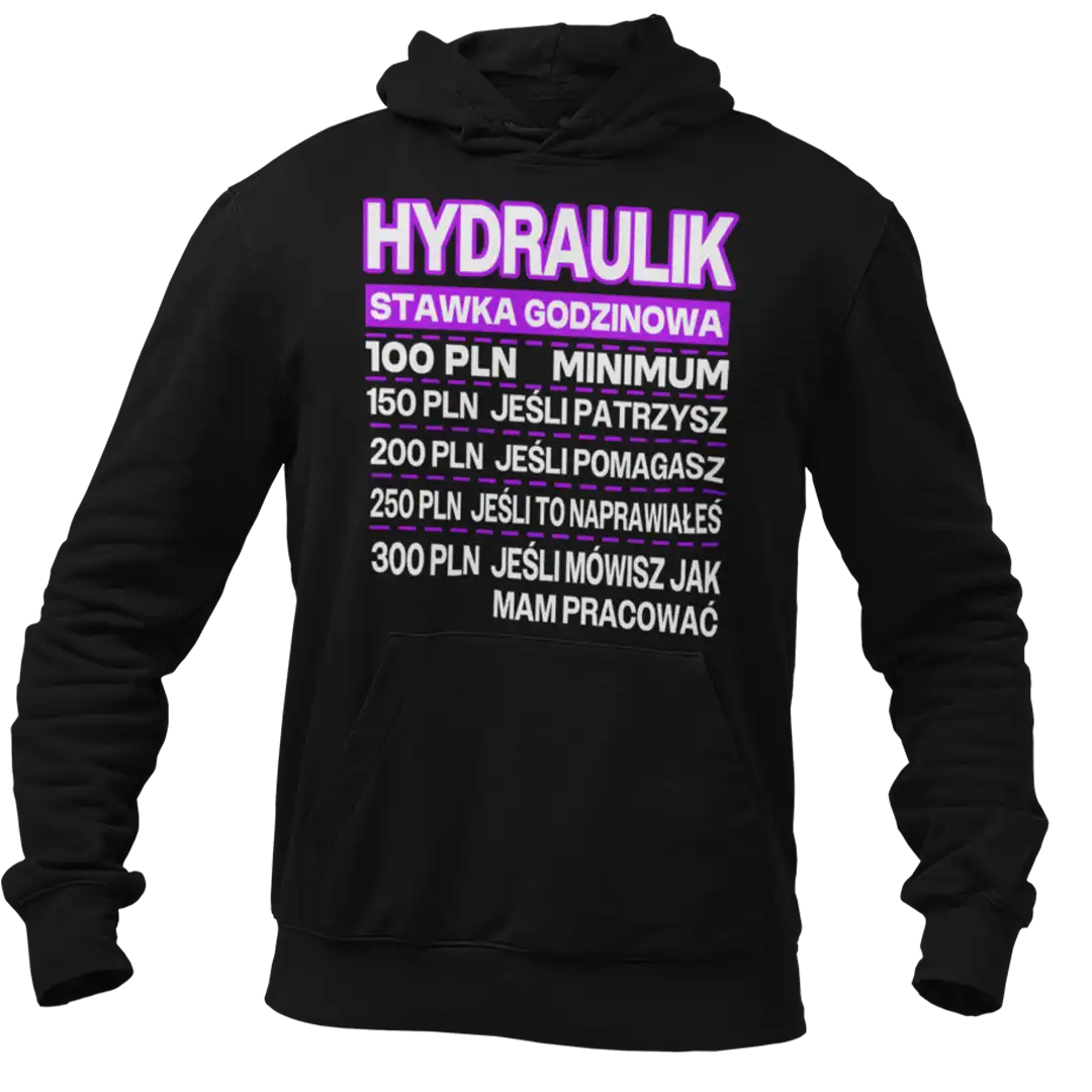 Bluza hydraulik stawka godzinowa