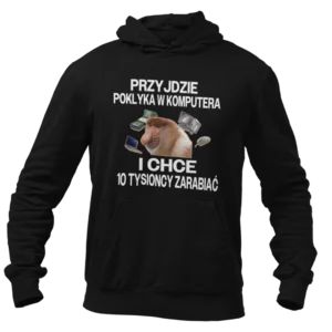 Bluza przyjdzie poklika w komputera i chce 10 tysioncy zarabiać